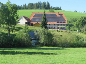Cosy detached holiday home with terrace in the Black Forest Sankt Georgen Im Schwarzwald